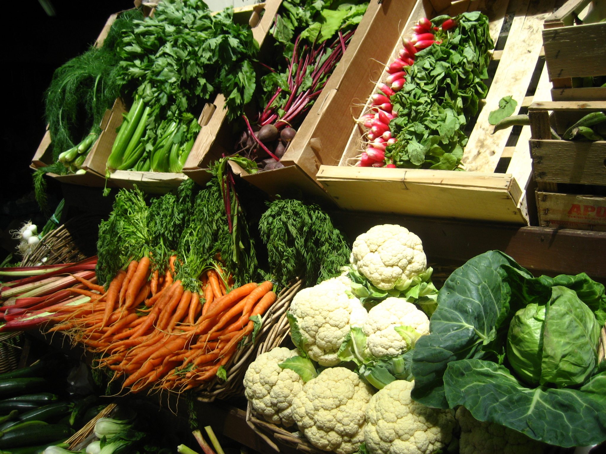 fresh and healthy Vegetables